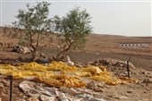 Israeli Regime Systematically Making West Bank Unlivable for Palestinians: Report