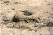 خشکی زاینده رود خطری برای محیط زیست