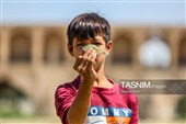 خشکی زاینده رود خطری برای محیط زیست