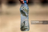خشکی زاینده رود خطری برای محیط زیست