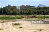 خشکی زاینده رود خطری برای محیط زیست