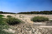 خشکی زاینده رود خطری برای محیط زیست