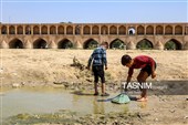 خشکی زاینده رود خطری برای محیط زیست