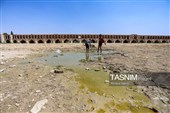 خشکی زاینده رود خطری برای محیط زیست