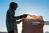 جمع آوری کاه توسط دامداران در لرستان