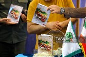 نشست خبری بیستمین جشنواره تئاتر مقاومت