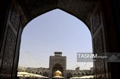 چهارشنبه امام‌رضایی؛ روایت دلدادگی در آستان سلطان خراسان