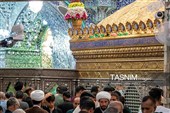 حال‌وهوای حرم حضرت معصومه(س) در سالروز میلاد شاه عبدالعظیم حسنی(ع)
