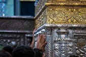 حال‌وهوای حرم حضرت معصومه(س) در سالروز میلاد شاه عبدالعظیم حسنی(ع)
