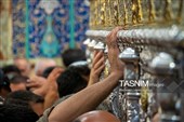 حال‌وهوای حرم حضرت معصومه(س) در سالروز میلاد شاه عبدالعظیم حسنی(ع)