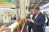 افزایش میزان صادرات محصولات غذایی استان بوشهر به روسیه