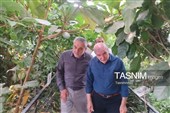 بازدید مسئولان شهر فرودگاهی امام خمینی(ره) از ظرفیت‌های گردشگری و کشاورزی پاکدشت