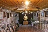 مناسبة یوم الشعر والأدب الفارسی.. إحیاء ذکرى الشاعر الإیرانی "محمد حسین شهریار"