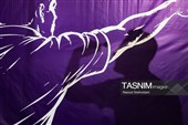 بزرگترین مسابقه دارت کشور