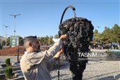 نهمین جشنواره انگور ارومیه