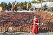 نهمین جشنواره انگور ارومیه