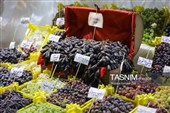 نهمین جشنواره انگور ارومیه