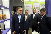 برنامه‌ریزی برای صادرات مستقیم میگوی بوشهر به بازار روسیه