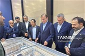 سفر هیئت اقتصادی و تجاری استان بوشهر به روسیه