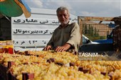 چهارمین جشنواره ملی انگور مشگین شهر