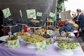 چهارمین جشنواره ملی انگور مشگین شهر