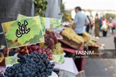 چهارمین جشنواره ملی انگور مشگین شهر