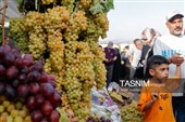 چهارمین جشنواره ملی انگور مشگین شهر