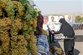 چهارمین جشنواره ملی انگور مشگین شهر