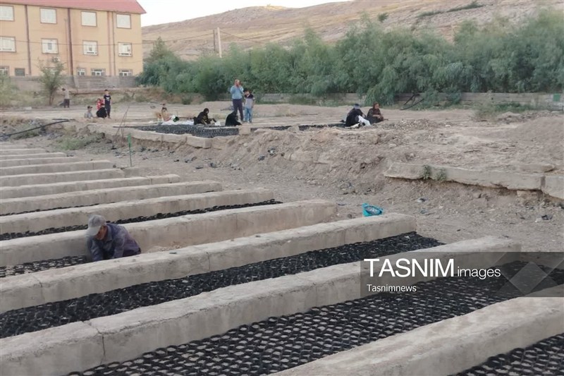 سازمان منابع طبیعی ,