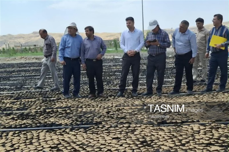سازمان منابع طبیعی ,