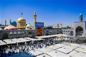 نصب کتیبه‌های ولادت‌ امام حسن عسکری علیه‌السلام در حرم مطهر رضوی