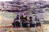 خاطرات سرخ ایثار / بمناسبت هفته دفاع مقدس
