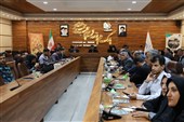 ظرفیت‌های قانونی برای تقویت پژوهش در چهارمحال و بختیاری فعال شود