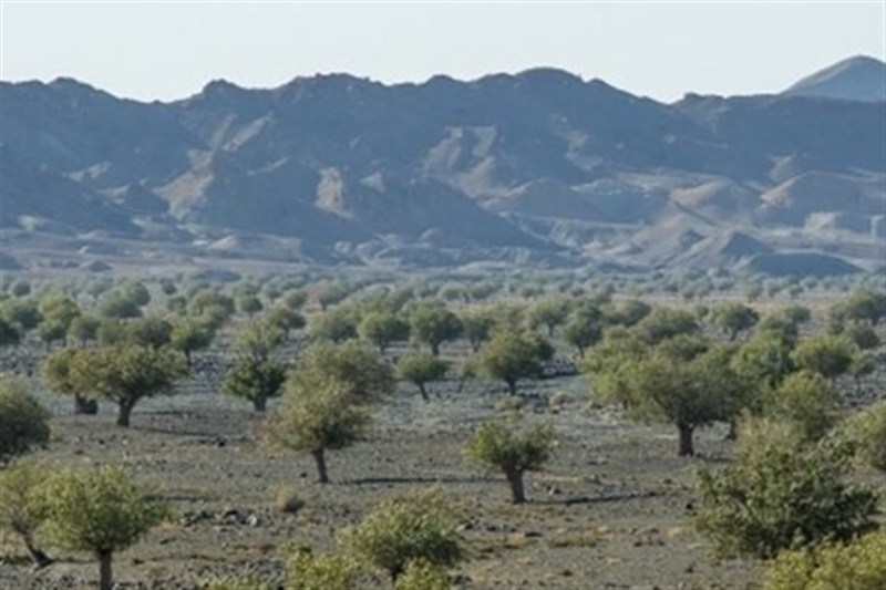 اخبار استان خراسان جنوبی , گردشگری , طبیعت ,