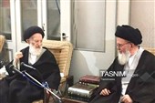 دیدار آیت‌الله حسینی زنجانی با مرحوم آیت‌الله شبیری(قدس سره)