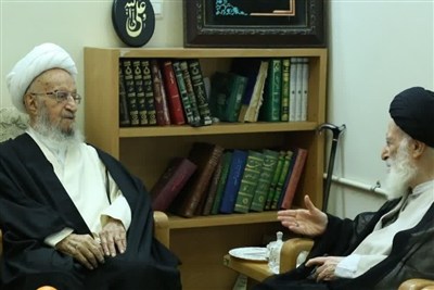 آیت‌الله مکارم شیرازی درگذشت آیت‌الله شبیری زنجانی را تسلیت گفت
