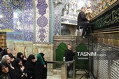 سیاه‌پوشی ضریح حضرت معصومه(س)