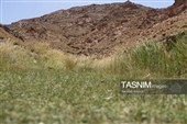آبشار فیض‌آباد؛ جاذبه‌ای پنهان در 45 کیلومتری شمال‌غرب راور