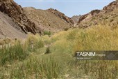 آبشار فیض‌آباد؛ جاذبه‌ای پنهان در 45 کیلومتری شمال‌غرب راور