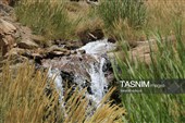 آبشار فیض‌آباد؛ جاذبه‌ای پنهان در 45 کیلومتری شمال‌غرب راور