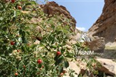 آبشار فیض‌آباد؛ جاذبه‌ای پنهان در 45 کیلومتری شمال‌غرب راور