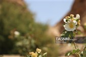 آبشار فیض‌آباد؛ جاذبه‌ای پنهان در 45 کیلومتری شمال‌غرب راور