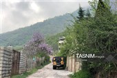 آوار ویلاسازی بر سر روستای تاریخی " زیارت"