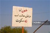 مدرسه شجره طیبه میناب