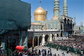 تشییع پیکر آیت‌الله العظمی شبیری زنجانی در قم - 2