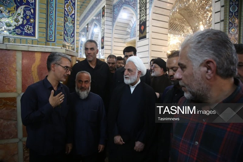 حجت الاسلام و المسلمین غلامحسین محسنی اژهای , حضرت معصومه (س) , مراجع عظام , اخبار استان قم ,