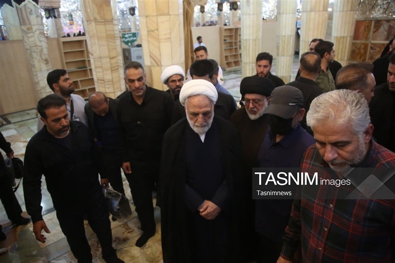 حجت الاسلام و المسلمین غلامحسین محسنی اژهای , حضرت معصومه (س) , مراجع عظام , اخبار استان قم ,