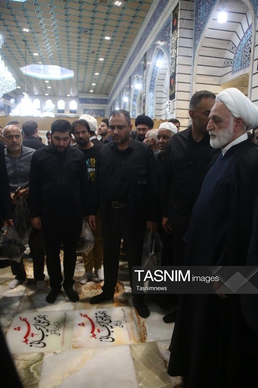 حجت الاسلام و المسلمین غلامحسین محسنی اژهای , حضرت معصومه (س) , مراجع عظام , اخبار استان قم ,