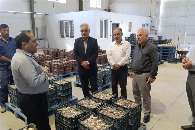 جهاد کشاورزی گام‌های بلند خود را در توسعه سامانه‌های نوین آبیاری ادامه می‌دهد؛ ۳۴۷ پروژه در دست اجرا