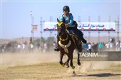 چهاردهمین جشنواره فرهنگی ورزشی جام ستارخان